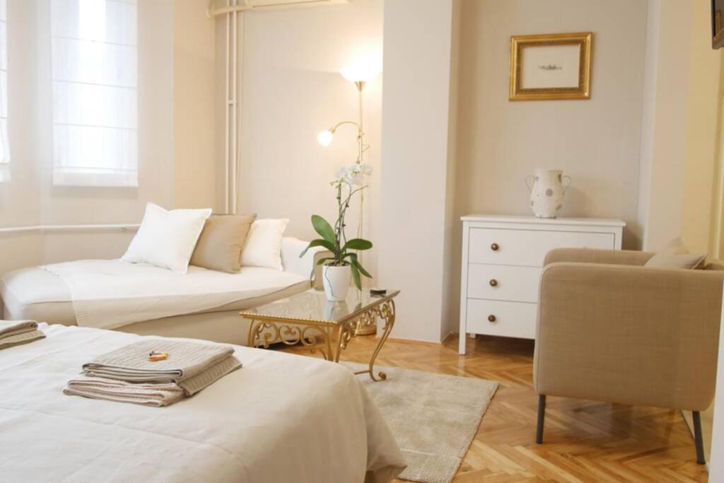 Apartment Art نوفي ساد المظهر الخارجي الصورة